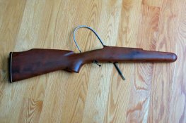 Gunstock Camera Mount.jpg