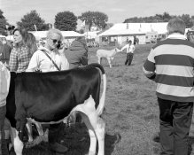 egtonshow_035.jpg