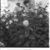 Image8 autocord gp3.jpg