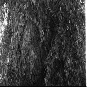 Image2 gp3 autocord.jpg