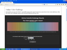 colorvision.JPG