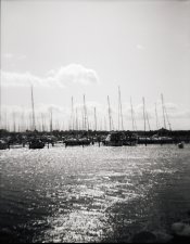 Woca-FP4_2-150dpi.jpg Woca-FP4_2-150dpi.jpg