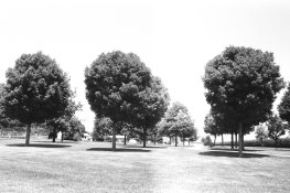 AAA005.jpg