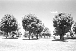 AAA006.jpg