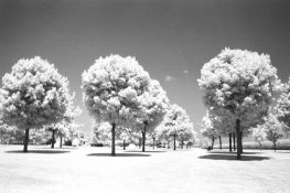 AAA008.jpg