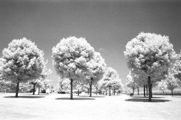AAA010.jpg
