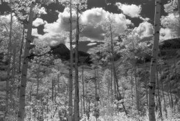Capitol Peak IR.jpg