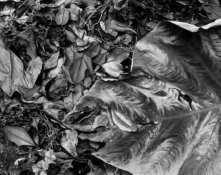 grotto_150.jpg