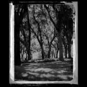 2014-035-bw-M.jpg