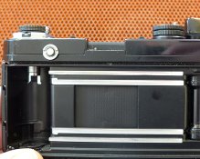 P91.jpg