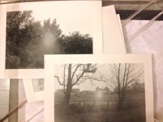 11photo.JPG
