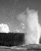 OldFaithful_4x5.jpg