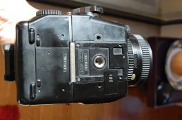 DSC_0121.jpg DSC_0121.jpg