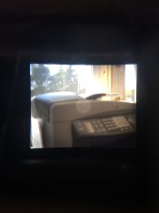 ImageUploadedByTapatalk1411753878.961714.jpg