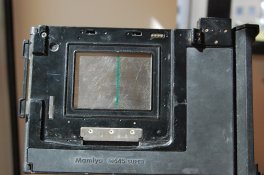 DSC_0115.jpg