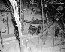 chicago crime snow.JPG