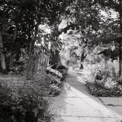 140803_04.jpg
