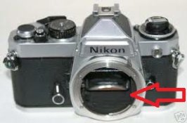 camera frount.jpg