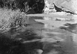 1.1 -3 x4+ LFArista@300 KodakB&W400   copy.jpg