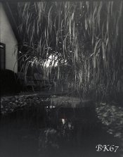 Fomapan100-Woca-010-web.jpg