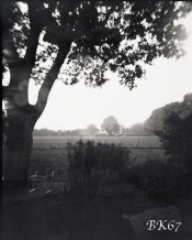 Fomapan100-Woca-014-web.jpg Fomapan100-Woca-014-web.jpg