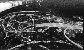 Agfa1.jpg
