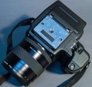 contax (5 of 12).jpg