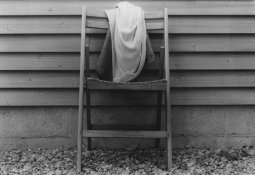 Ys on image.jpg Ys on image.jpg