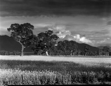 002 - Victoria Valley-120.jpg