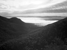 07-600.jpg