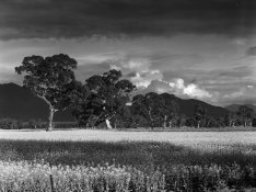 002 - Victoria Valley-120.jpg