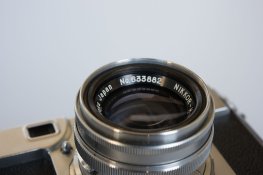 DSC_0223.jpg
