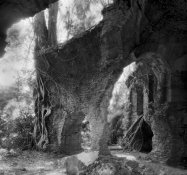 img802crop.jpg img802crop.jpg