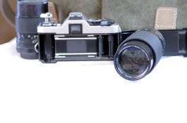 _IGP3986_v1.jpg