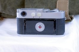 _IGP3980_v1.jpg