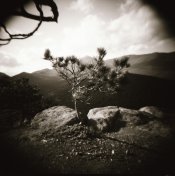 ADK Holga_0004.jpg