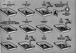 ansco3.jpg
