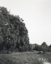 Fomapan100-Woca-003-web.jpg