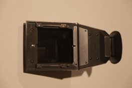 IMG_2598.jpg