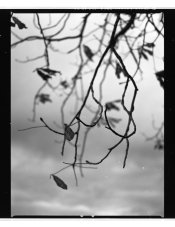 GP3 PyroHD007APUG.jpg