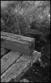 postive scan1200dpi001rz.jpg