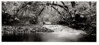 1Narrow Prairie Cr.jpg