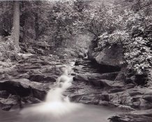 bonito_lake.jpg bonito_lake.jpg