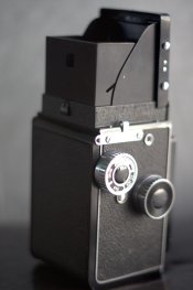 IMG_7667.jpg