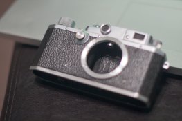 IMG_7823.jpg