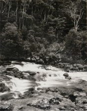 Fairey Pools, Keri Keri, NZ_16x20.jpg