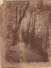20141115_3699-SaltPrint-20141115-1200dpi-colour--1.jpg