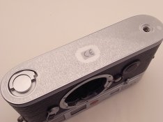 R1105805.JPG