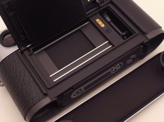 R1105807.JPG