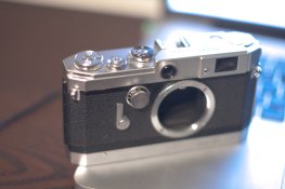 IMG_7886.jpg